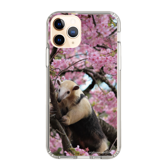 Slim Protection Case［ The Izu Animal Kingdom - Anteater ］