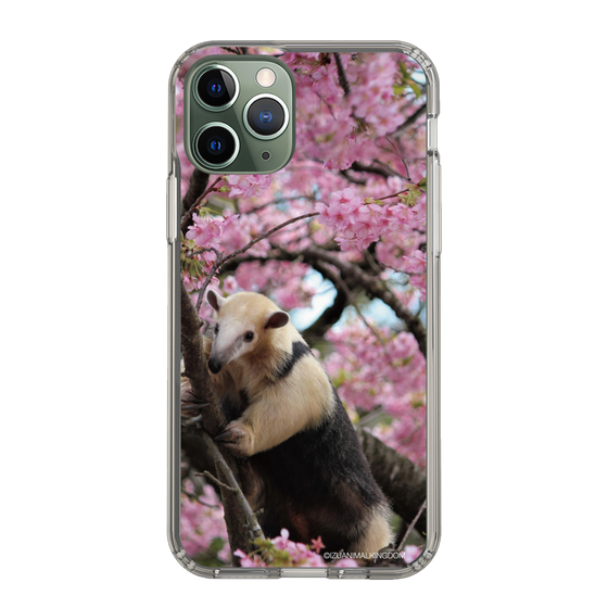 Slim Protection Case［ The Izu Animal Kingdom - Anteater ］