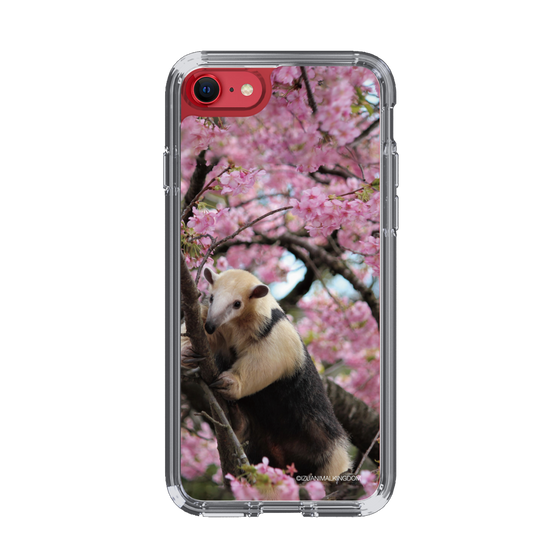 Slim Protection Case［ The Izu Animal Kingdom - Anteater ］