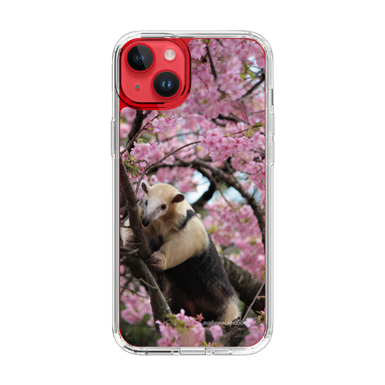 Slim Protection Case［ The Izu Animal Kingdom - Anteater ］