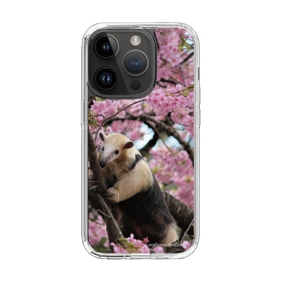 Slim Protection Case［ The Izu Animal Kingdom - Anteater ］