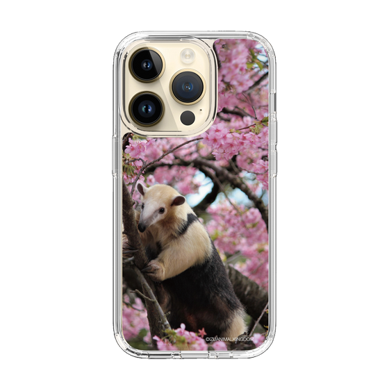 Slim Protection Case［ The Izu Animal Kingdom - Anteater ］