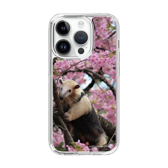 Slim Protection Case［ The Izu Animal Kingdom - Anteater ］
