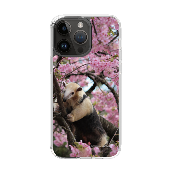 Slim Protection Case［ The Izu Animal Kingdom - Anteater ］