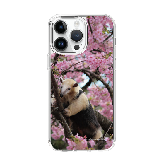 Slim Protection Case［ The Izu Animal Kingdom - Anteater ］