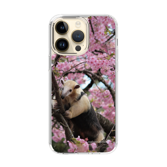 Slim Protection Case［ The Izu Animal Kingdom - Anteater ］