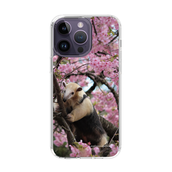 Slim Protection Case［ The Izu Animal Kingdom - Anteater ］