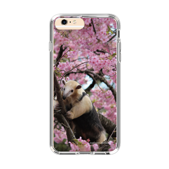 Slim Protection Case［ The Izu Animal Kingdom - Anteater ］