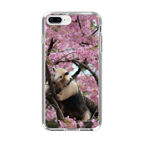 Slim Protection Case［ The Izu Animal Kingdom - Anteater ］