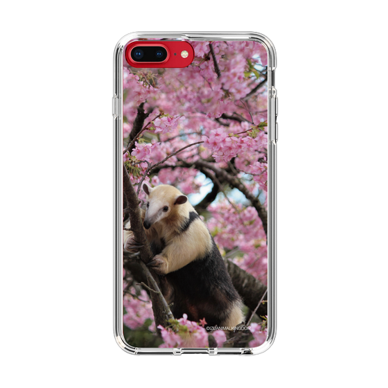 Slim Protection Case［ The Izu Animal Kingdom - Anteater ］