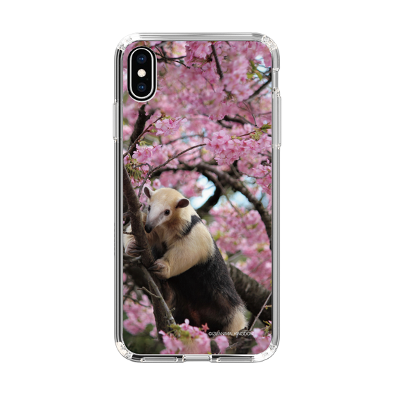 Slim Protection Case［ The Izu Animal Kingdom - Anteater ］