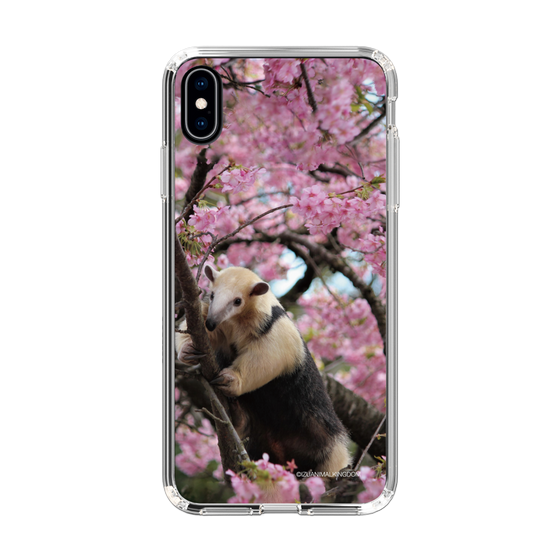 Slim Protection Case［ The Izu Animal Kingdom - Anteater ］