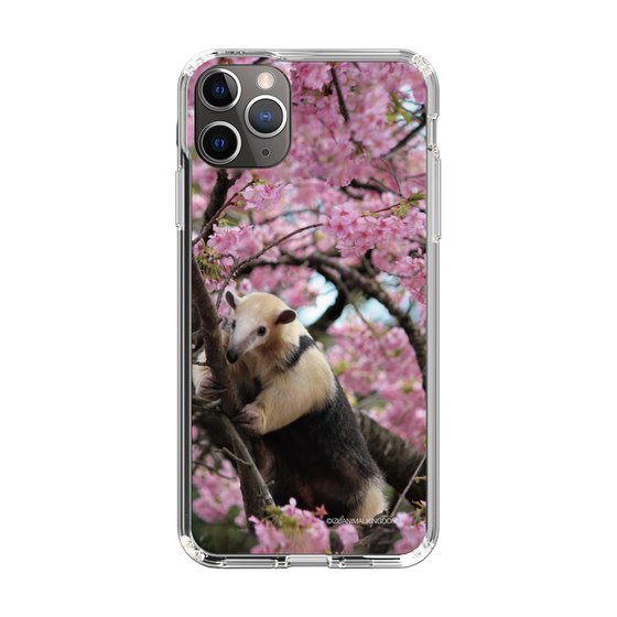 Slim Protection Case［ The Izu Animal Kingdom - Anteater ］