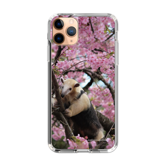 Slim Protection Case［ The Izu Animal Kingdom - Anteater ］