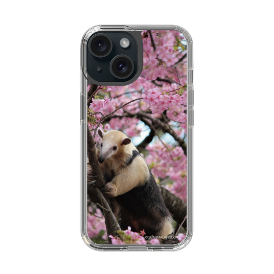 Slim Protection Case［ The Izu Animal Kingdom - Anteater ］