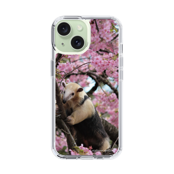 Slim Protection Case［ The Izu Animal Kingdom - Anteater ］