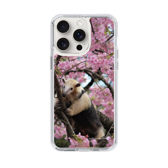 Slim Protection Case［ The Izu Animal Kingdom - Anteater ］