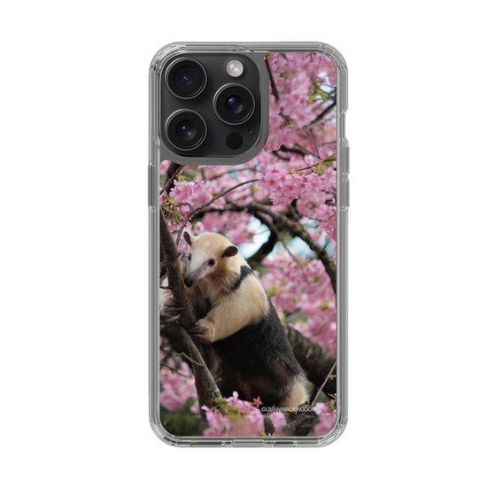 Slim Protection Case［ The Izu Animal Kingdom - Anteater ］