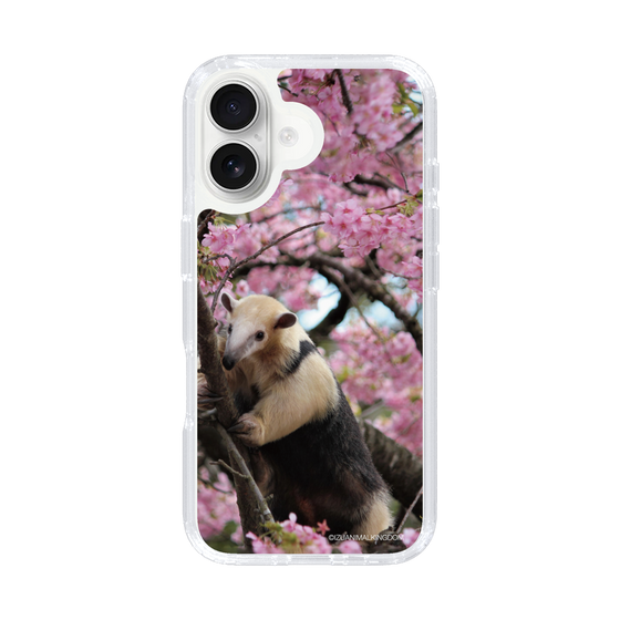 Slim Protection Case［ The Izu Animal Kingdom - Anteater ］