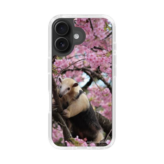Slim Protection Case［ The Izu Animal Kingdom - Anteater ］
