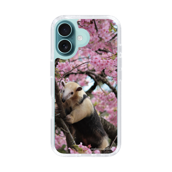 Slim Protection Case［ The Izu Animal Kingdom - Anteater ］