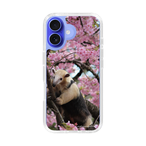 Slim Protection Case［ The Izu Animal Kingdom - Anteater ］