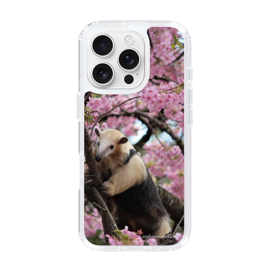 Slim Protection Case［ The Izu Animal Kingdom - Anteater ］