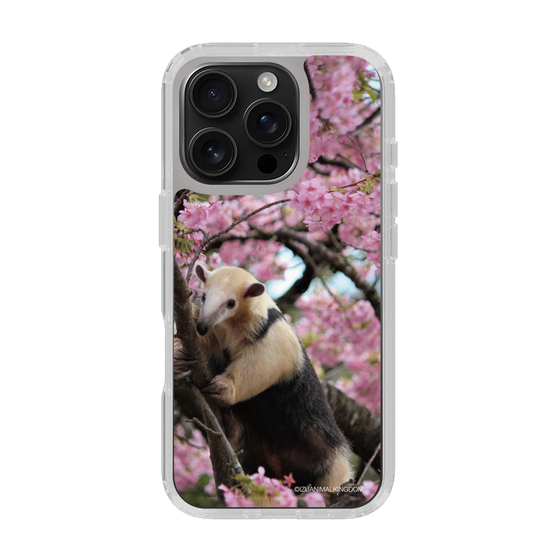 Slim Protection Case［ The Izu Animal Kingdom - Anteater ］