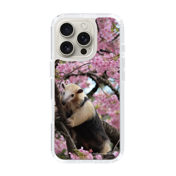 Slim Protection Case［ The Izu Animal Kingdom - Anteater ］