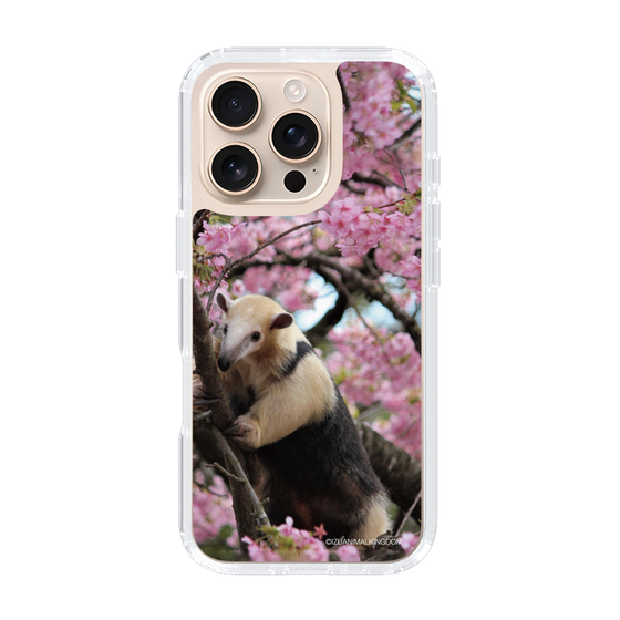 Slim Protection Case［ The Izu Animal Kingdom - Anteater ］