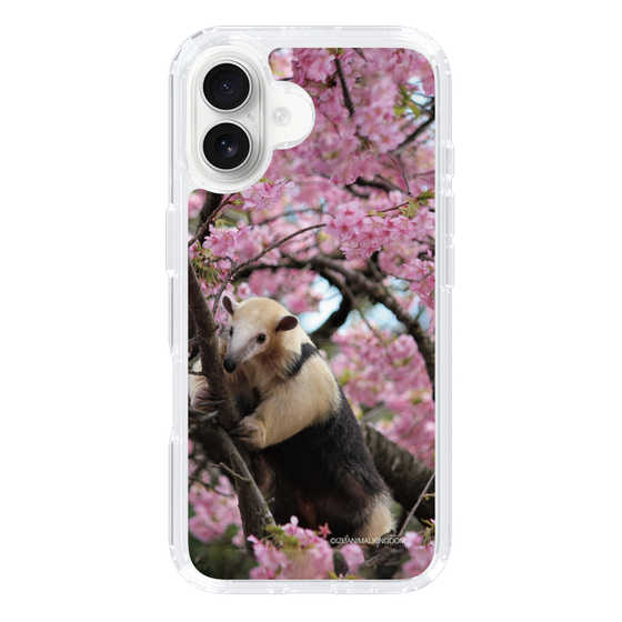 Slim Protection Case［ The Izu Animal Kingdom - Anteater ］