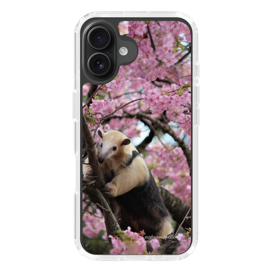 Slim Protection Case［ The Izu Animal Kingdom - Anteater ］