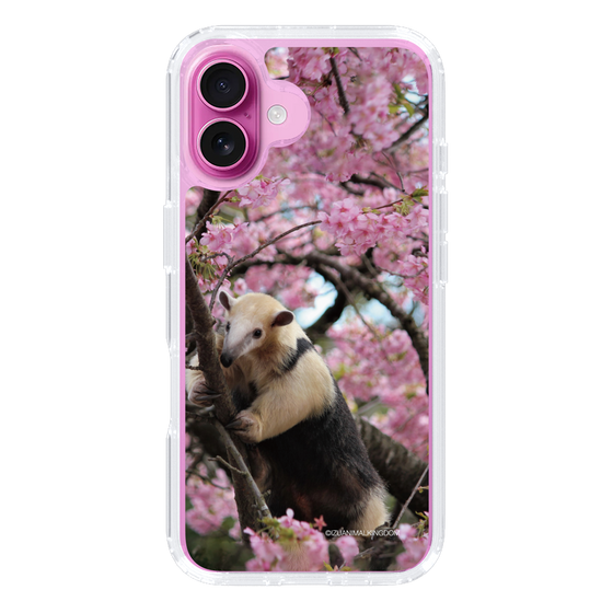 Slim Protection Case［ The Izu Animal Kingdom - Anteater ］