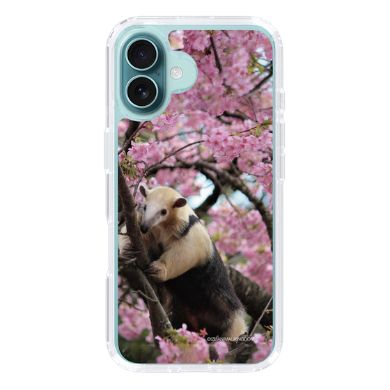 Slim Protection Case［ The Izu Animal Kingdom - Anteater ］