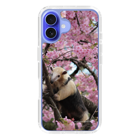 Slim Protection Case［ The Izu Animal Kingdom - Anteater ］