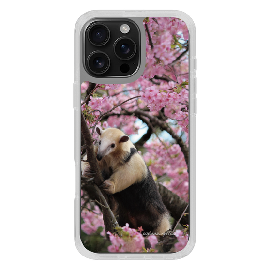 Slim Protection Case［ The Izu Animal Kingdom - Anteater ］