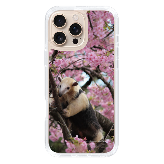 Slim Protection Case［ The Izu Animal Kingdom - Anteater ］