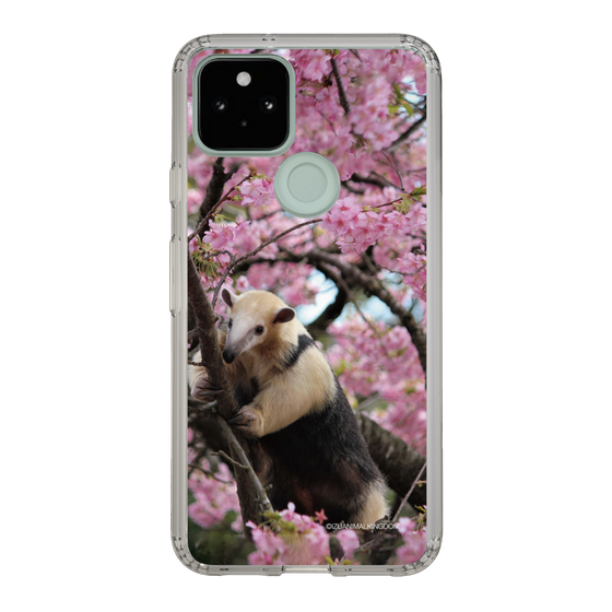Slim Protection Case［ The Izu Animal Kingdom - Anteater ］