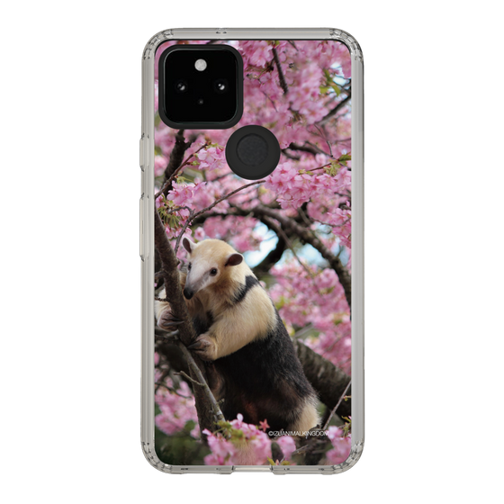 Slim Protection Case［ The Izu Animal Kingdom - Anteater ］