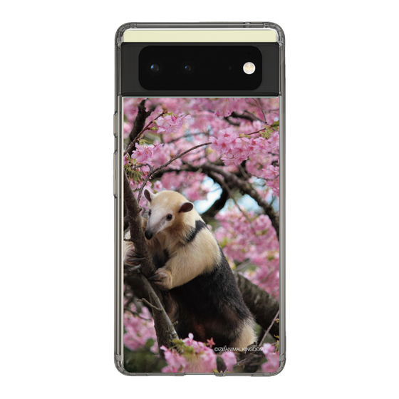 Slim Protection Case［ The Izu Animal Kingdom - Anteater ］