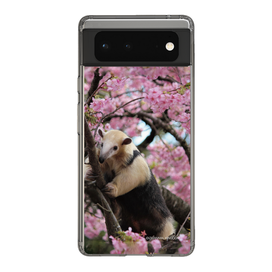 Slim Protection Case［ The Izu Animal Kingdom - Anteater ］
