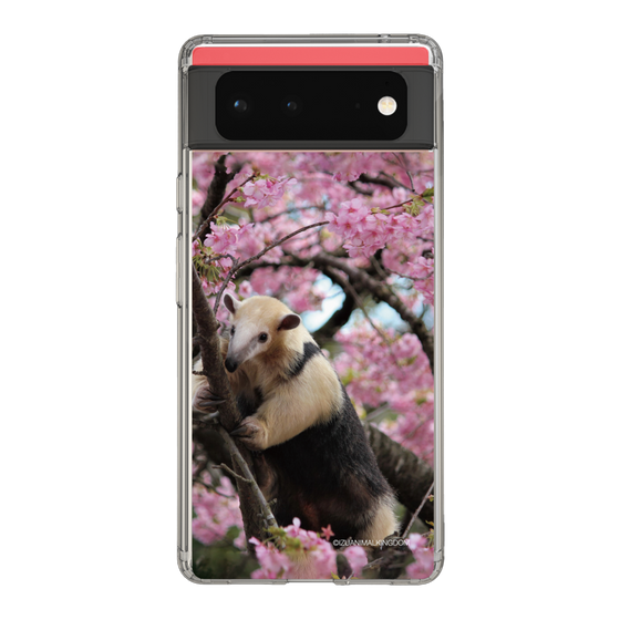 Slim Protection Case［ The Izu Animal Kingdom - Anteater ］