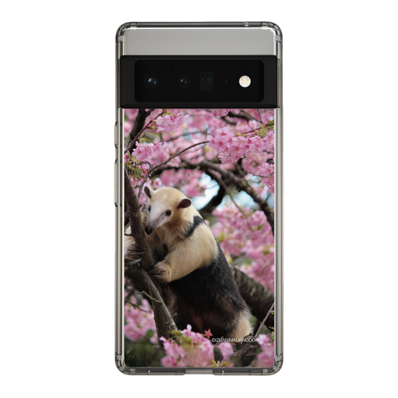 Slim Protection Case［ The Izu Animal Kingdom - Anteater ］