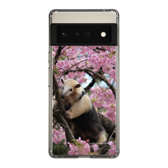 Slim Protection Case［ The Izu Animal Kingdom - Anteater ］