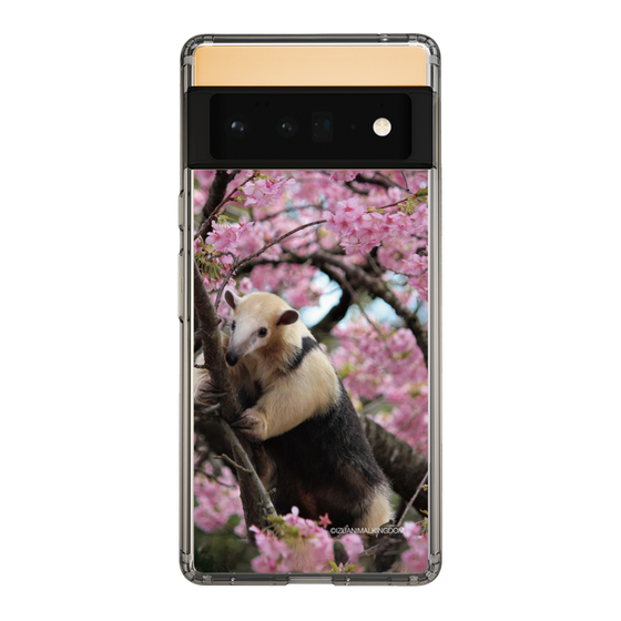 Slim Protection Case［ The Izu Animal Kingdom - Anteater ］