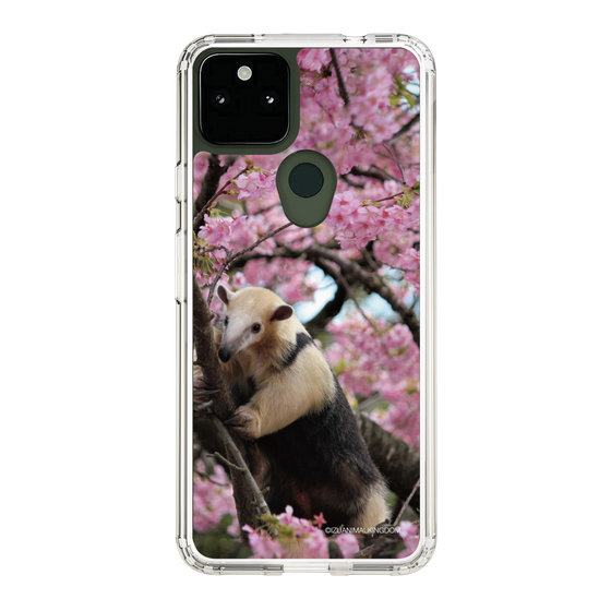 Slim Protection Case［ The Izu Animal Kingdom - Anteater ］