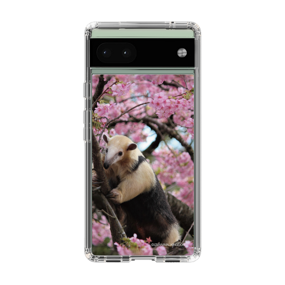 Slim Protection Case［ The Izu Animal Kingdom - Anteater ］