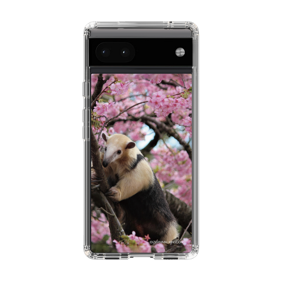 Slim Protection Case［ The Izu Animal Kingdom - Anteater ］
