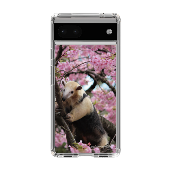 Slim Protection Case［ The Izu Animal Kingdom - Anteater ］