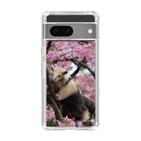 Slim Protection Case［ The Izu Animal Kingdom - Anteater ］